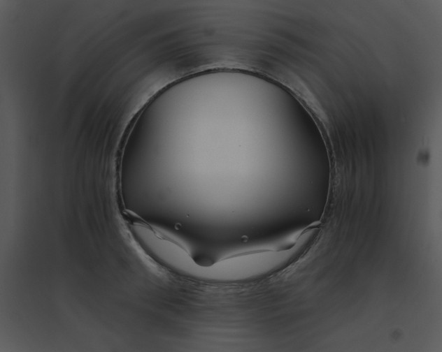 X0000095540898200801041306