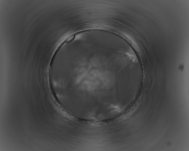 X0000095540899200801041306