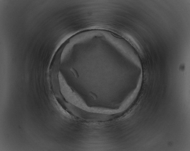 X0000095540900200801041306