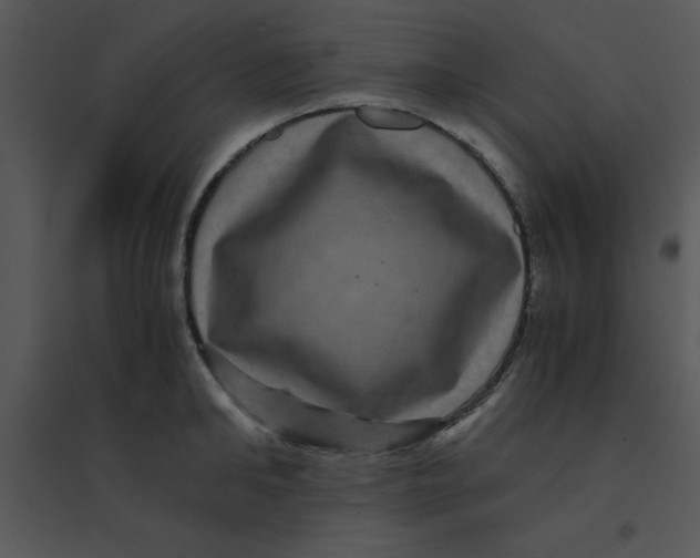 X0000095540902200801041306