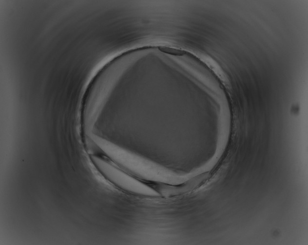 X0000095540904200801041306