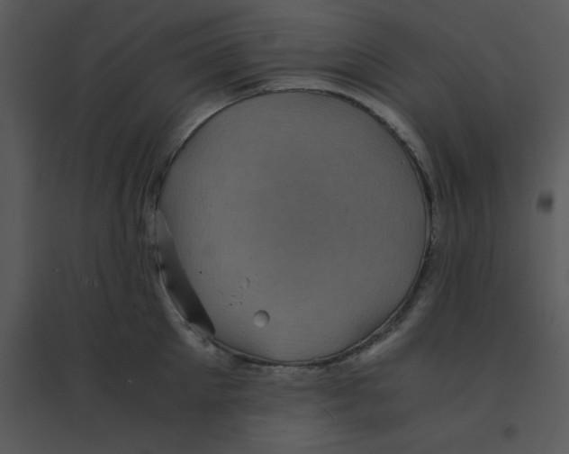 X0000095540905200801041306