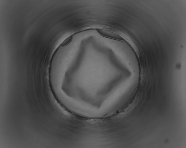 X0000095540906200801041306