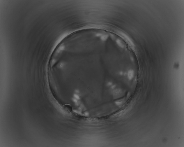 X0000095540907200801041306