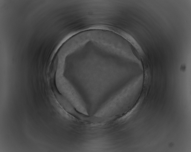 X0000095540908200801041306