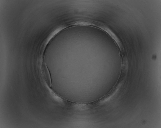 X0000095540909200801041306