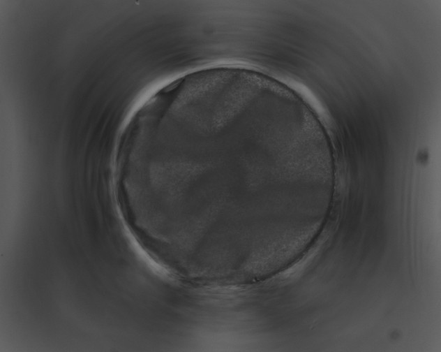 X0000095540910200801041306