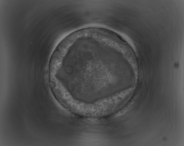 X0000095540911200801041306