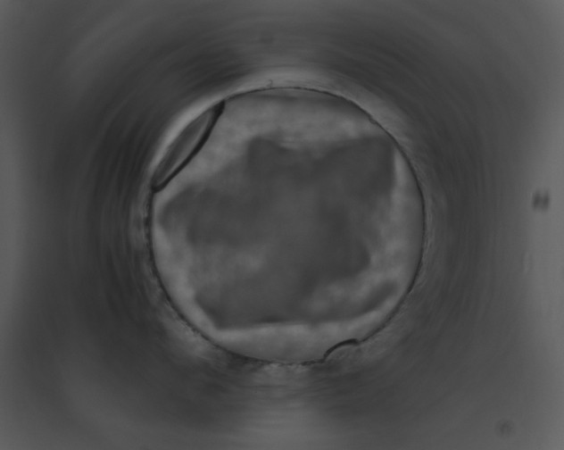 X0000095540912200801041306