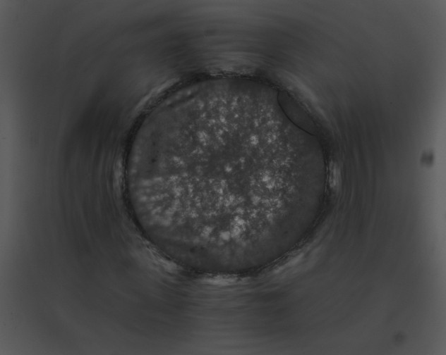 X0000095540915200801041306