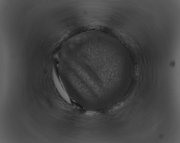 X0000095540916200801041306