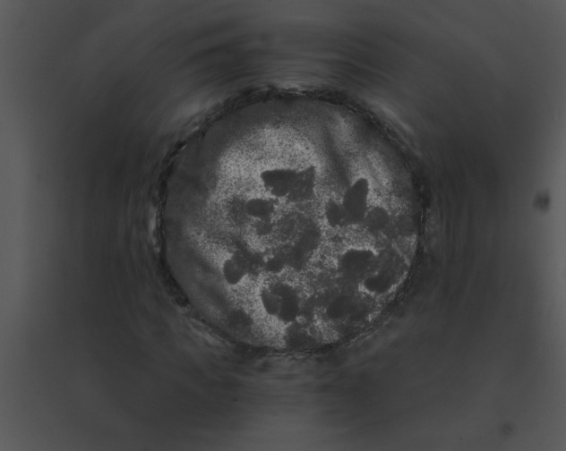 X0000095540917200801041306