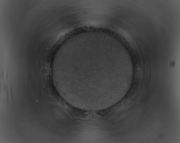 X0000095540918200801041306