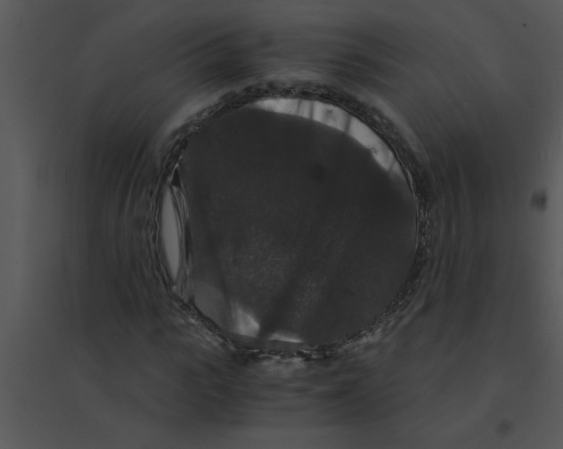 X0000095540919200801041306