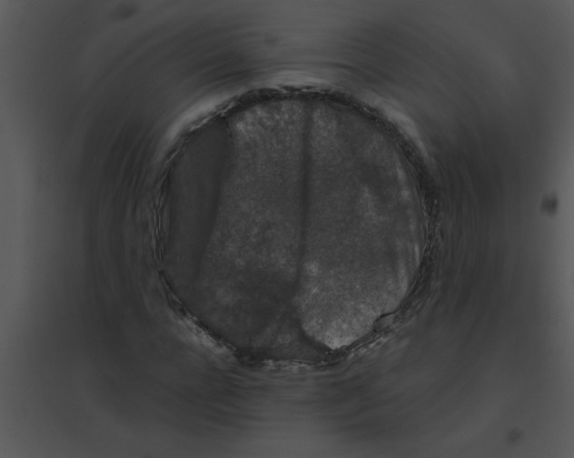 X0000095540920200801041306