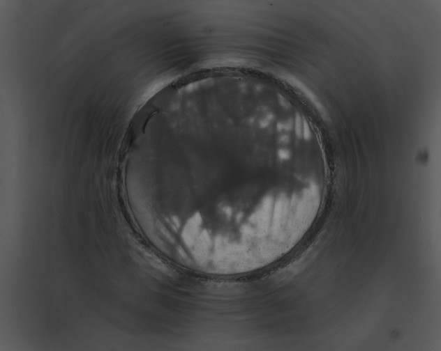 X0000095540921200801041306