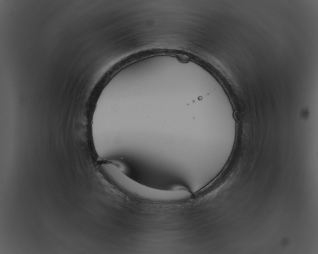 X0000095540926200801041306