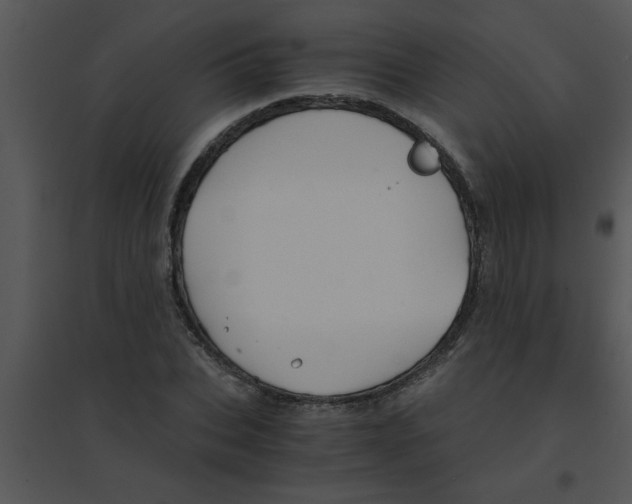 X0000095540927200801041306