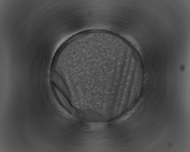 X0000095540928200801041306