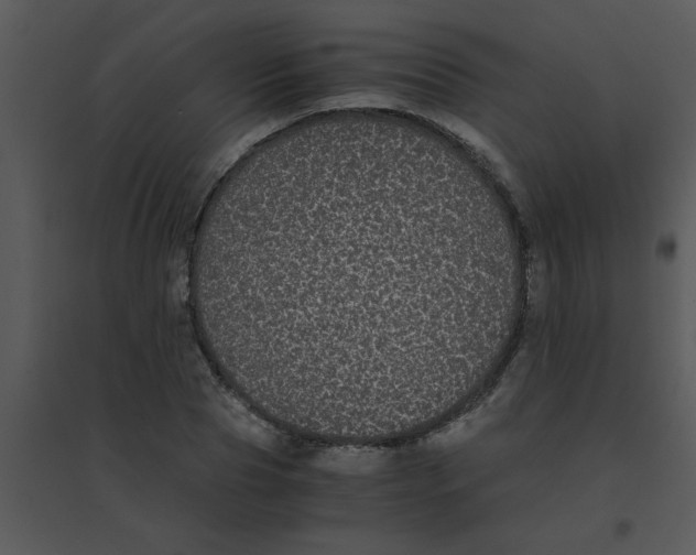 X0000095540929200801041306