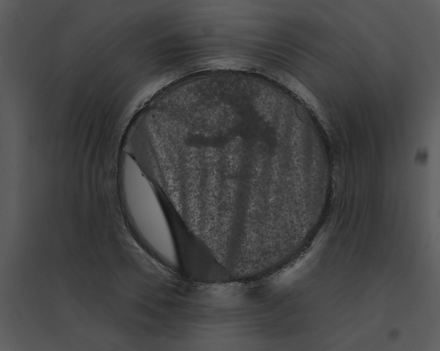 X0000095540930200801041306