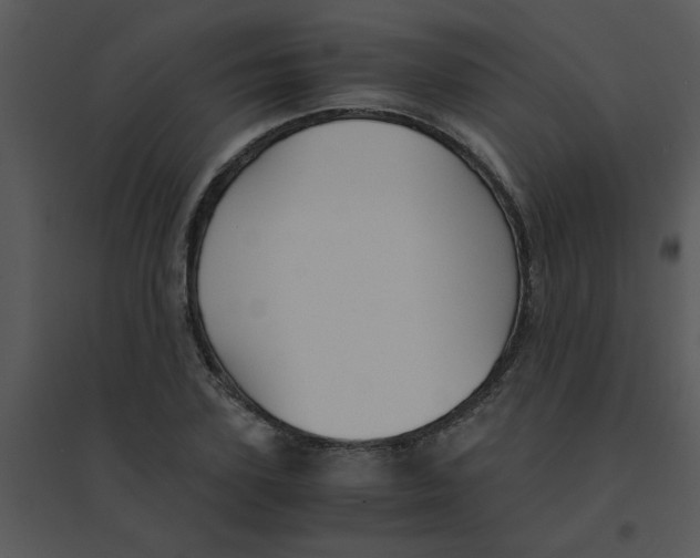 X0000095540931200801041306