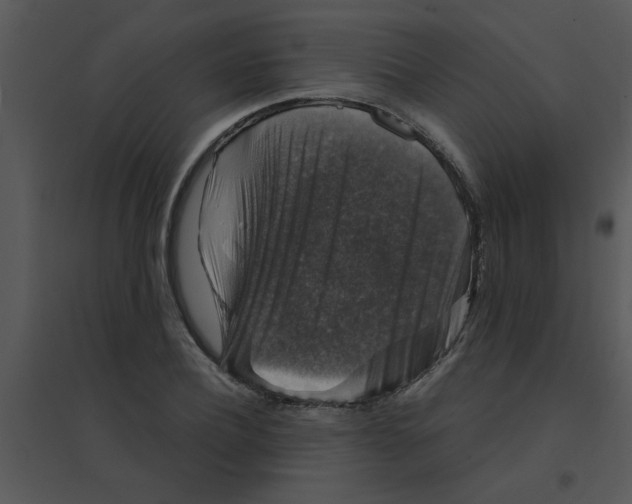 X0000095540932200801041306