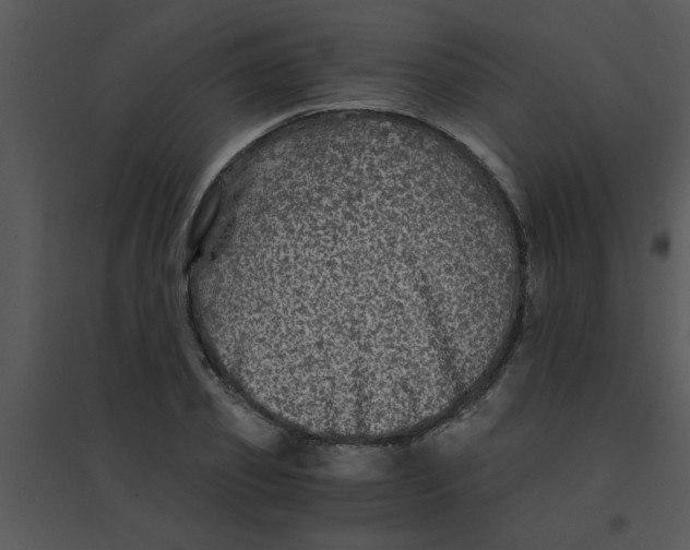 X0000095540933200801041306