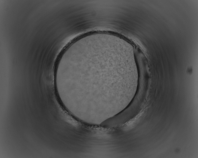 X0000095540934200801041306