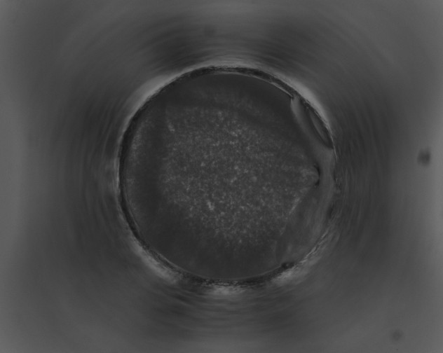 X0000095540935200801041306