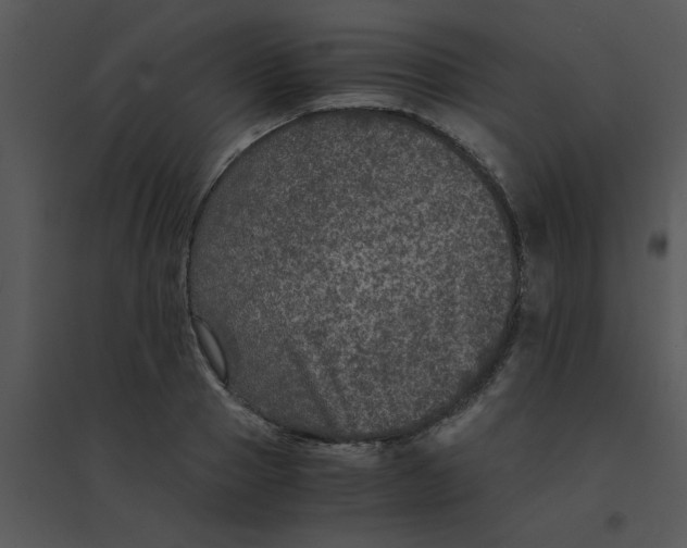 X0000095540937200801041306