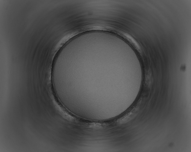 X0000095540938200801041306