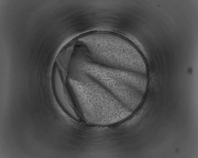 X0000095540939200801041306