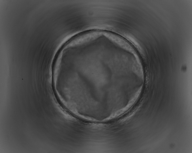 X0000095540940200801041306