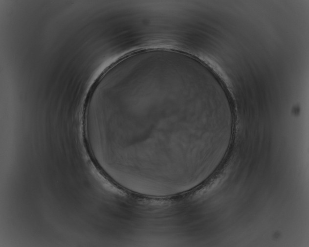 X0000095540941200801041306