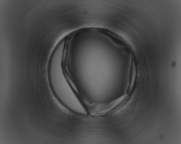 X0000095540942200801041306