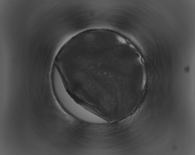 X0000095540943200801041306