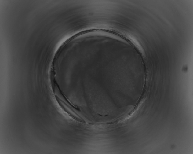 X0000095540944200801041306