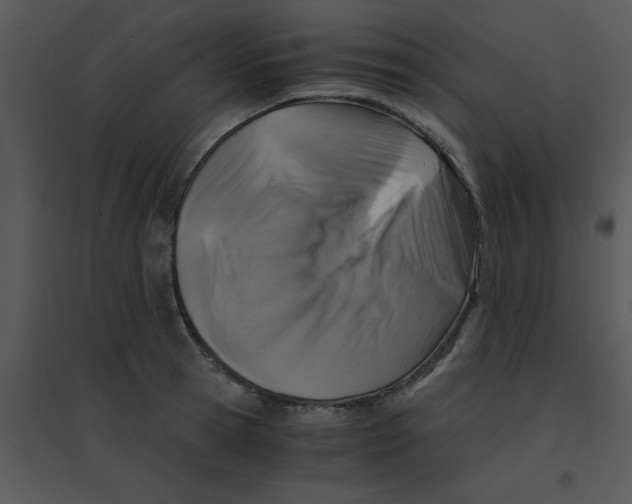 X0000095540945200801041306