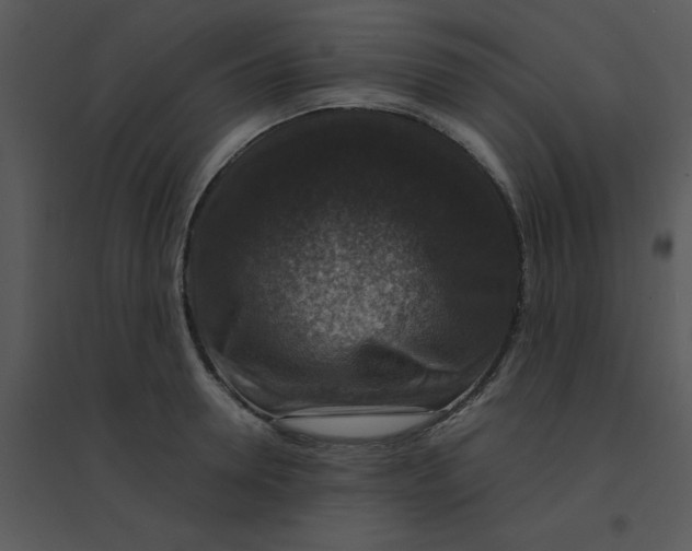 X0000095540946200801041306