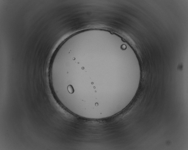 X0000095540947200801041306