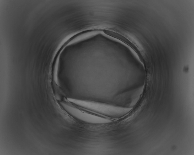 X0000095540948200801041306