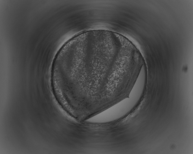 X0000095540949200801041306