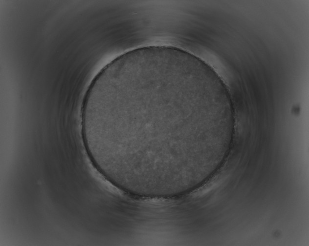 X0000095540950200801041306