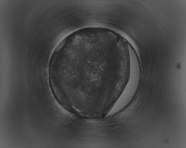 X0000095540951200801041306