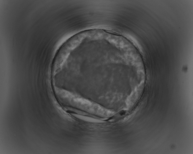 X0000095540952200801041306