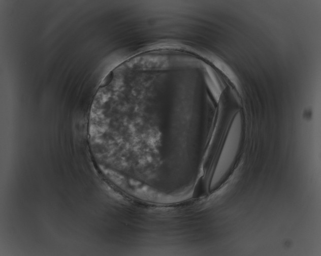 X0000095540953200801041306