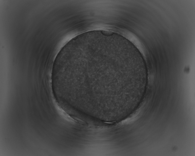 X0000095540954200801041306