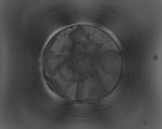 X0000095540955200801041306