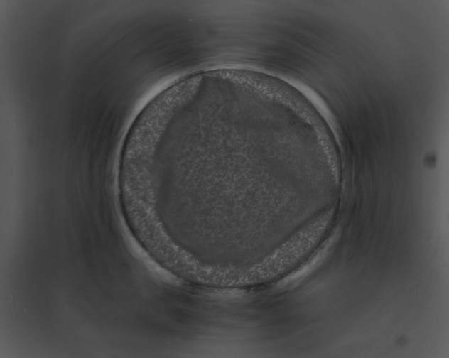 X0000095540957200801041306